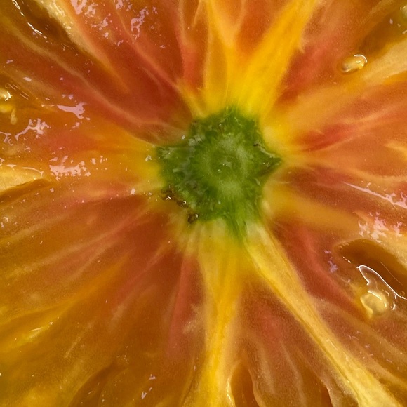 Meet your Posher, Hazel - Picture 1 of 1